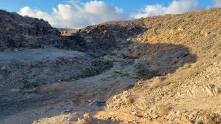 2024-03-Playa_del_Cometa-38.jpg
